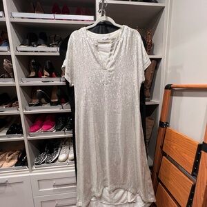 Gently worn S’edge Silver Shimmer Dress